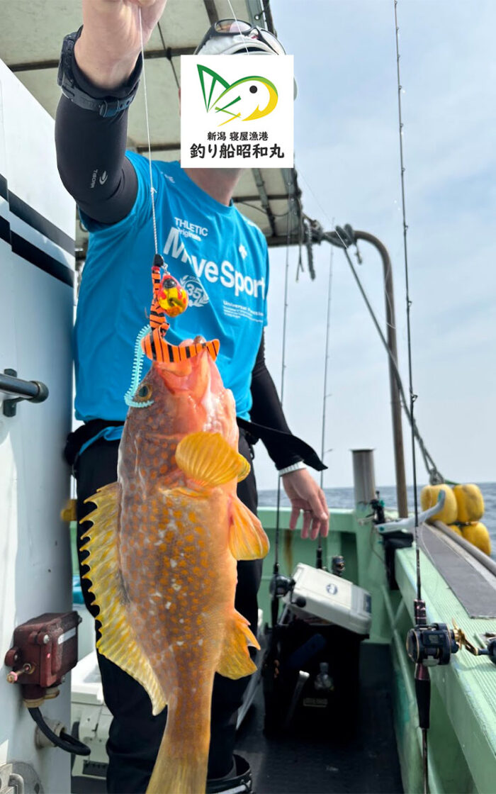 キジハタが釣れた夏の魚