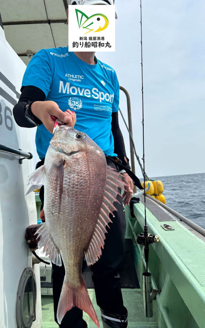 釣り初心者でも真鯛が釣れる