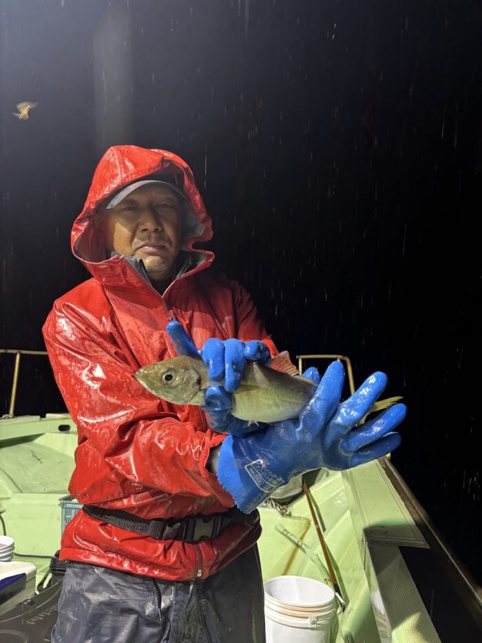 アジが良く釣れる釣り船