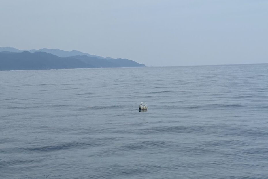 穏やかで凪の良い土曜日の海