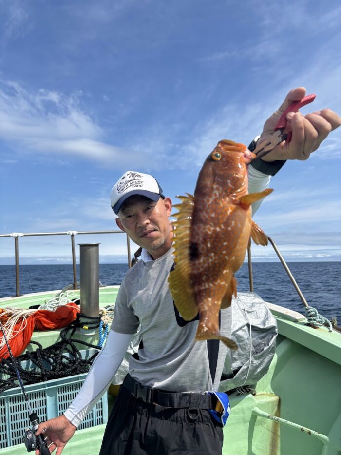 夏が旬のアコウことキジハタが釣れた