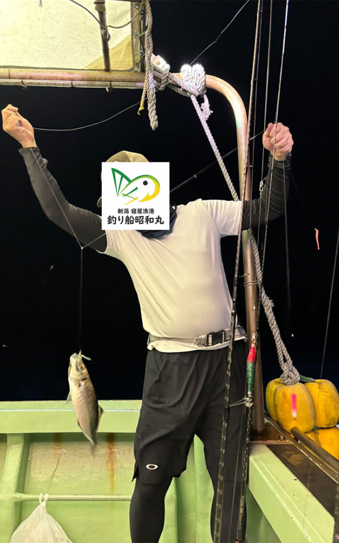バチコンアジング釣果