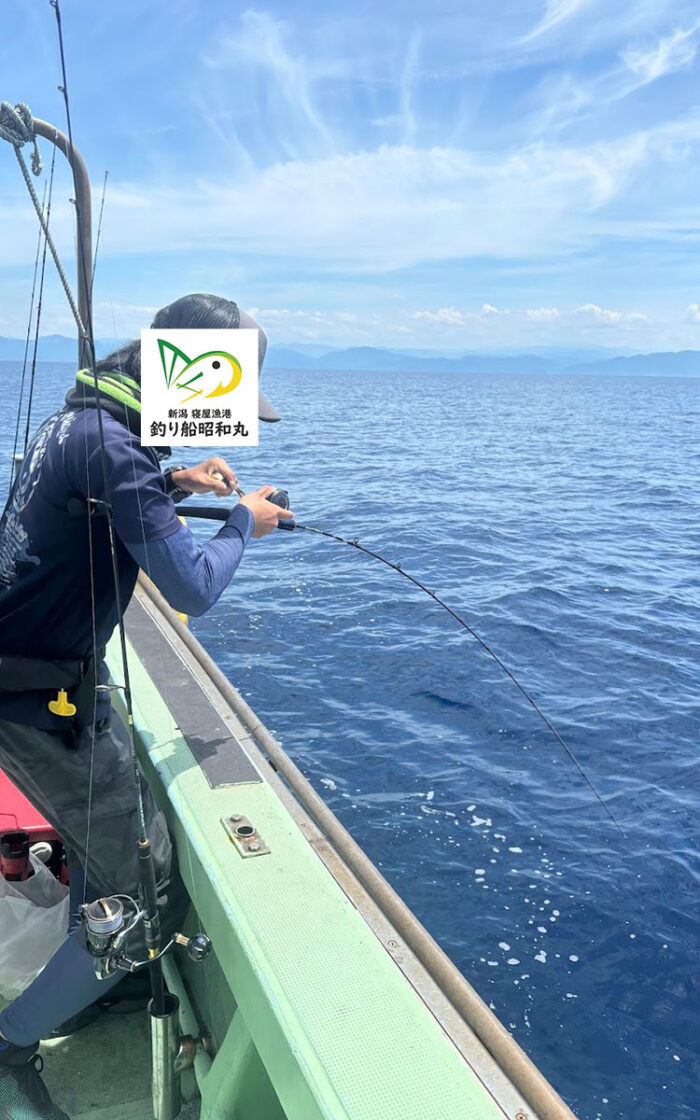 マグロが釣れて糸が切れた