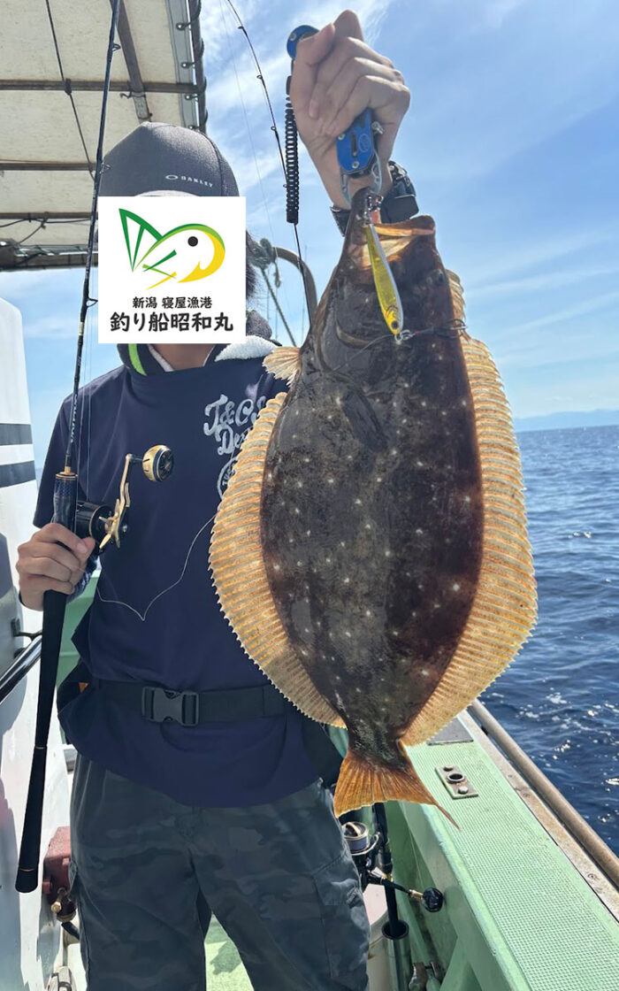ライトジギングで釣れた平目