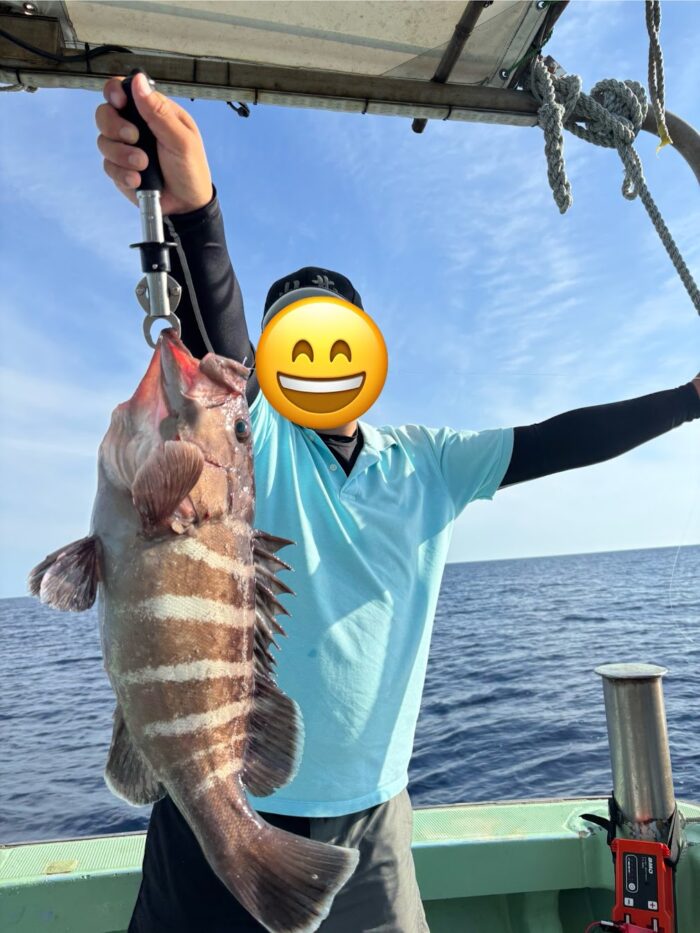 マハタの釣果