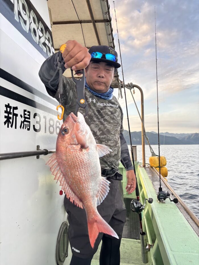 夏の真鯛がタイラバで釣れた