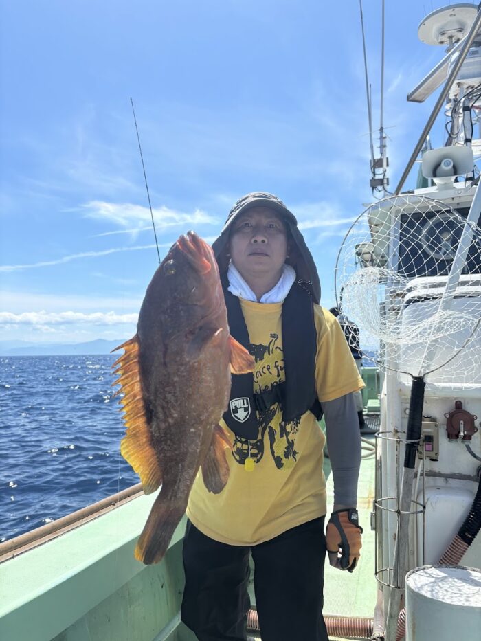 大型のキジハタが釣れた