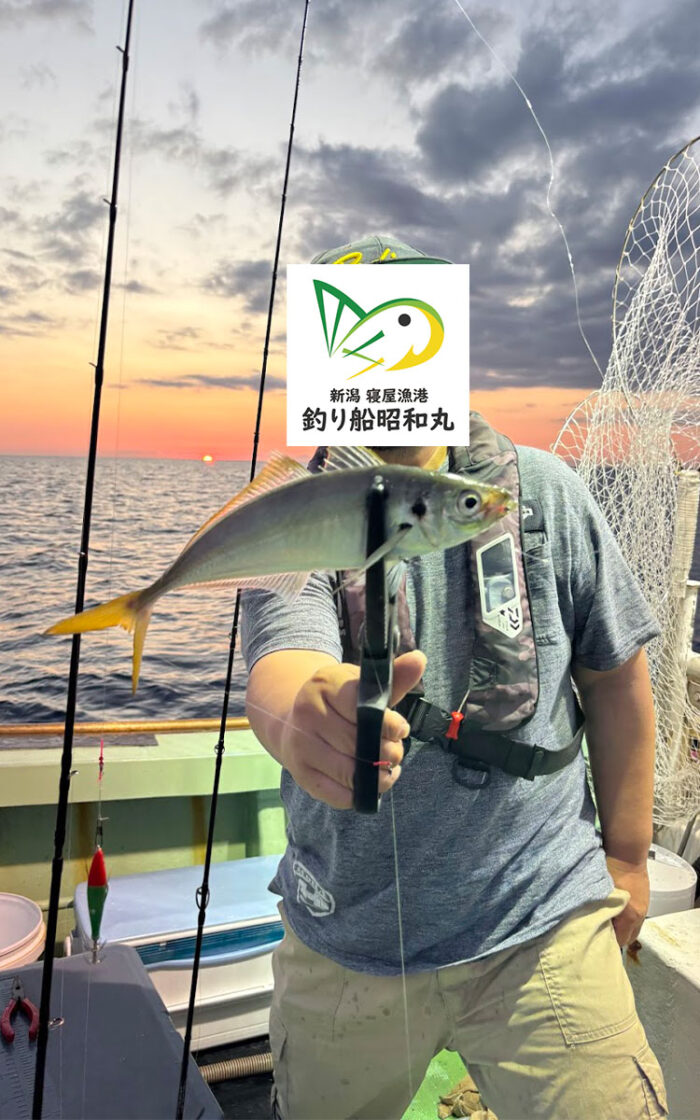 バチコンで釣れたアジ