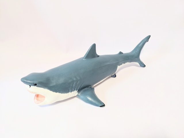 サメ