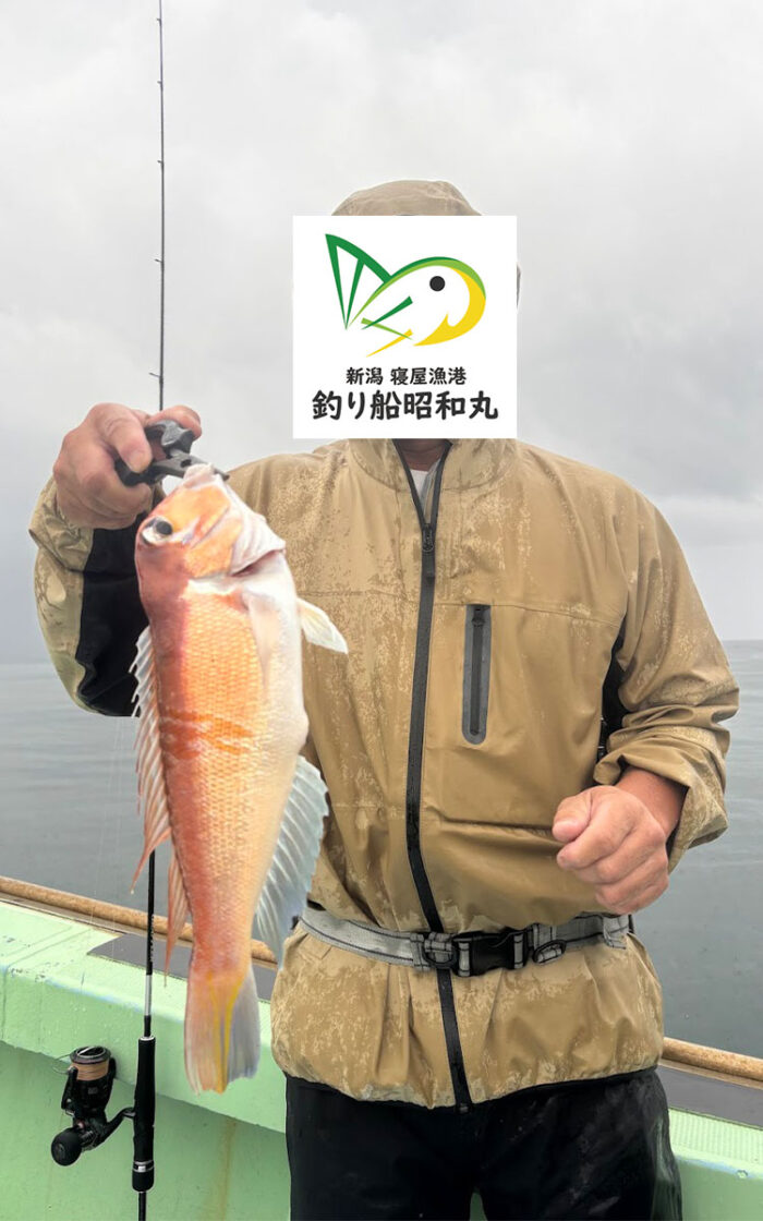 甘鯛が釣れた