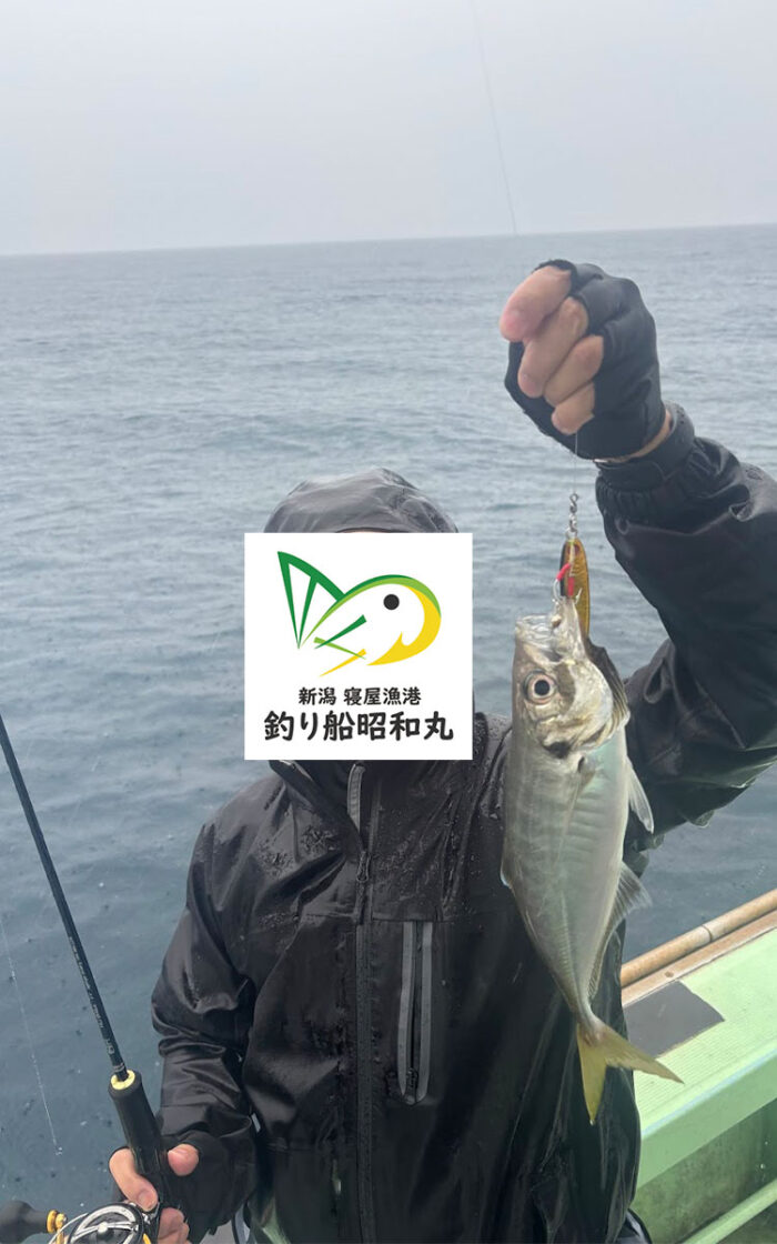 アジがジグで釣れた