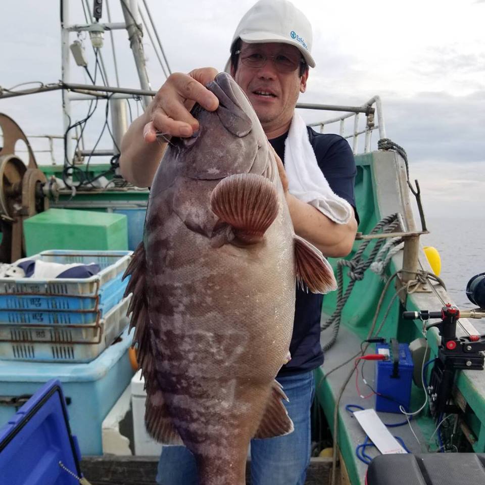 大型マハタの釣果画像