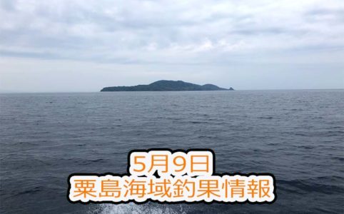 新潟県村上市粟島海域での釣り船釣行ブログ