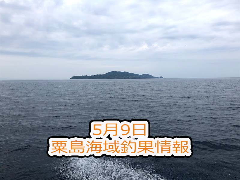 新潟県村上市粟島海域での釣り船釣行ブログ