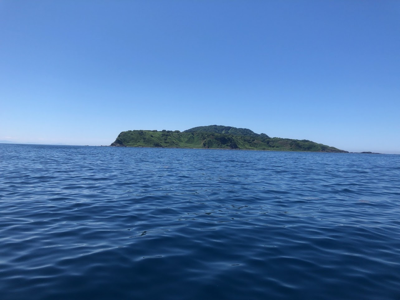 新潟粟島船釣り