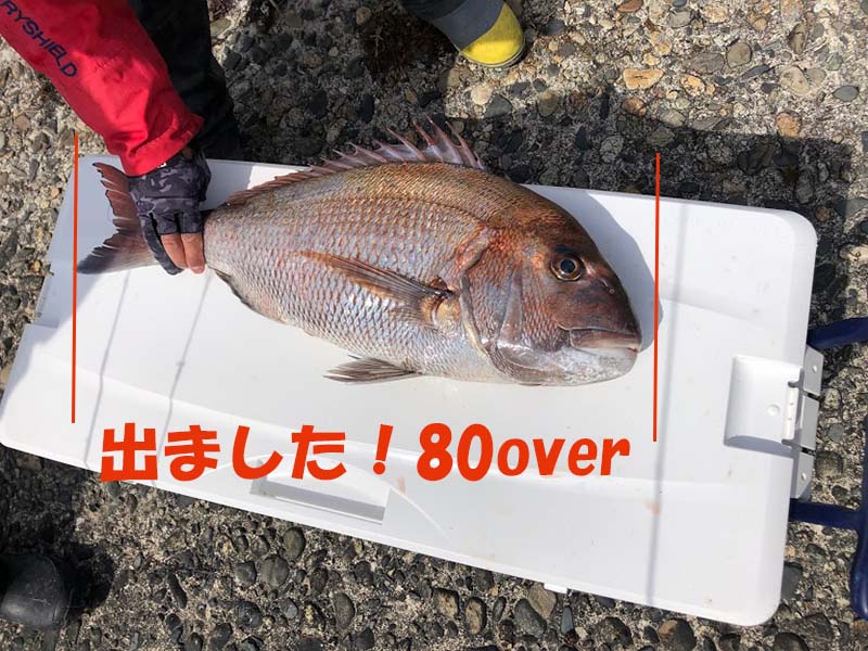 タングステンジグで釣れた80オーバーの真鯛