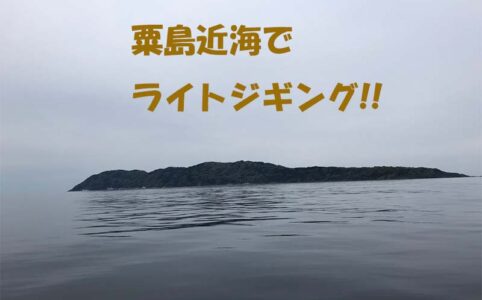 新潟県粟島近海でライトジギング釣果情報