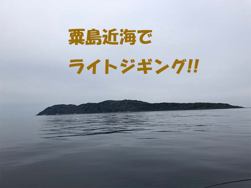 新潟県粟島近海でライトジギング釣果情報