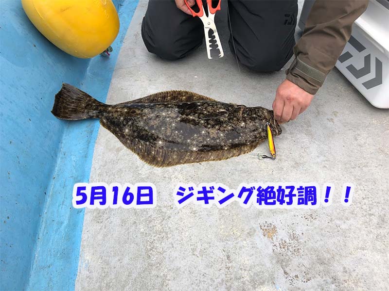 ライトジギング絶好調の日ブログ
