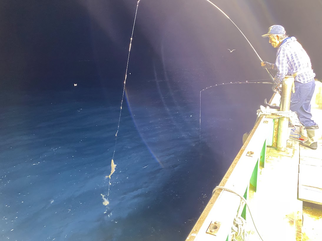 夜の電気アジ釣り