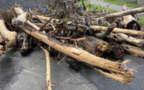 新潟県村上市豪雨被害によって流出した流木の撤去作業