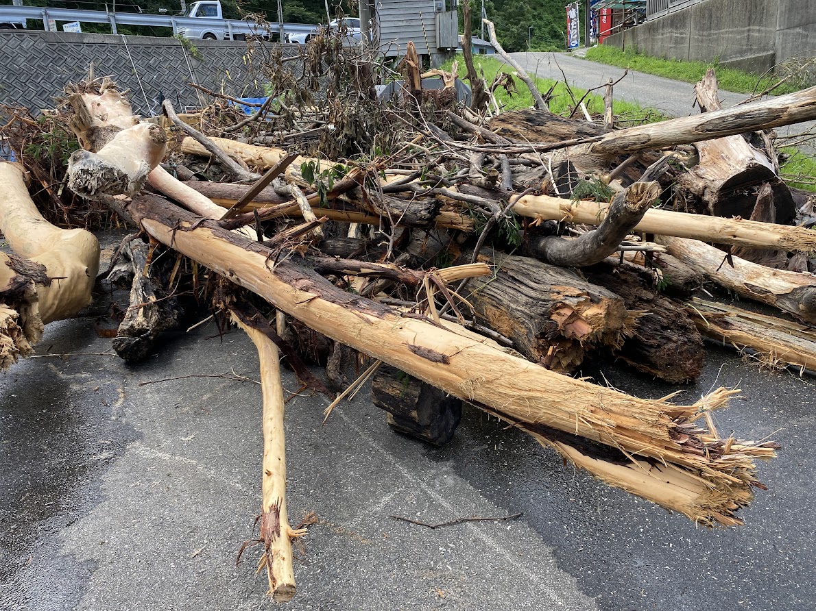新潟県村上市豪雨被害によって流出した流木の撤去作業