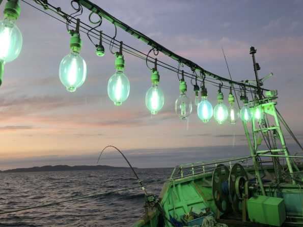 電気釣り可能な新潟寝屋港の遊漁船