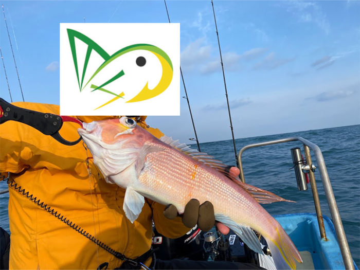新潟の良型アマダイを鯛カブラで釣れる