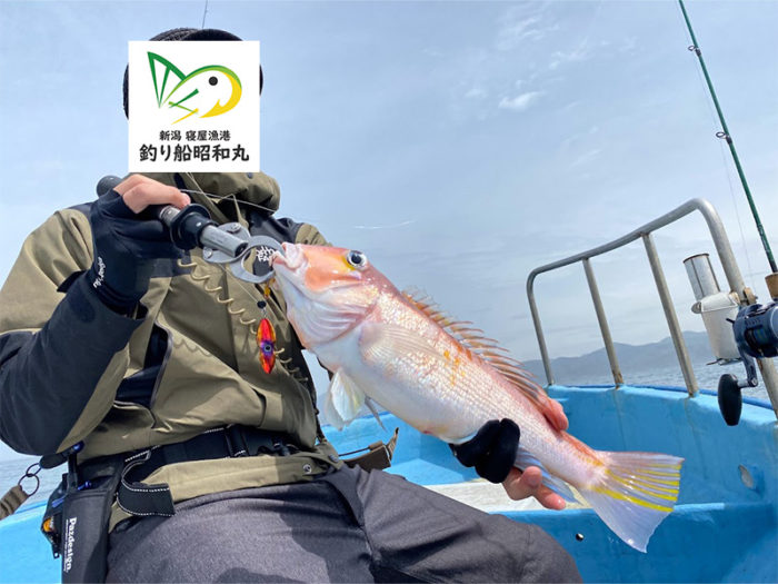 日本海の甘鯛釣り