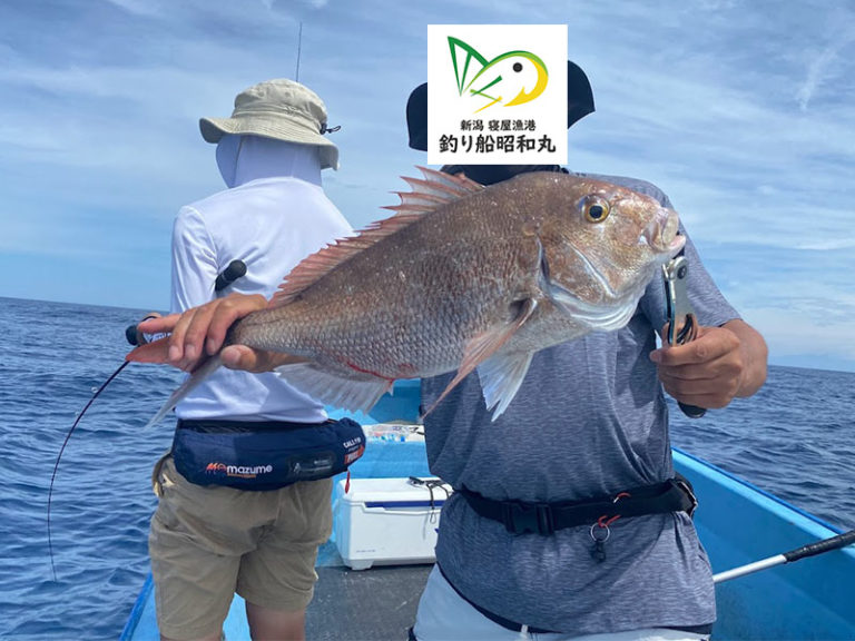 真鯛船釣りの時期と釣り方!春夏秋冬タイラバでマダイを釣るコツ