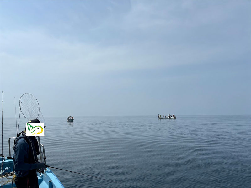 釣り日和の日本海新潟寝屋漁港の遊漁船