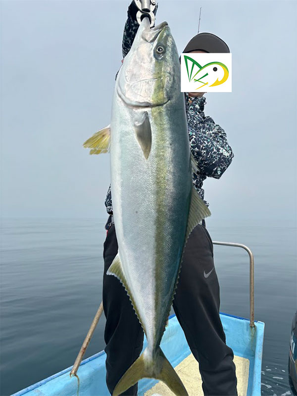 GWに釣り上げた大型魚ブリ