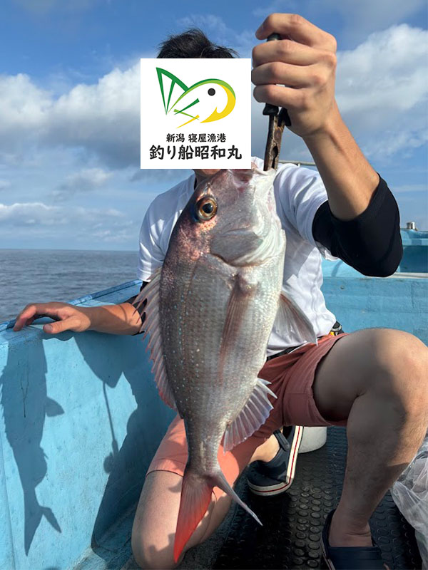 初心者でも真鯛が釣れる遊漁船