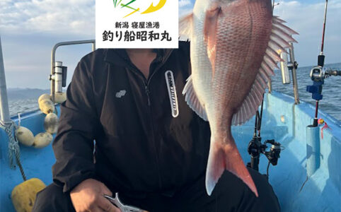 秋の真鯛釣り