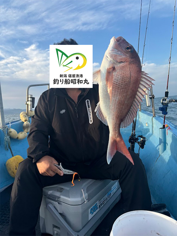 秋の真鯛釣り