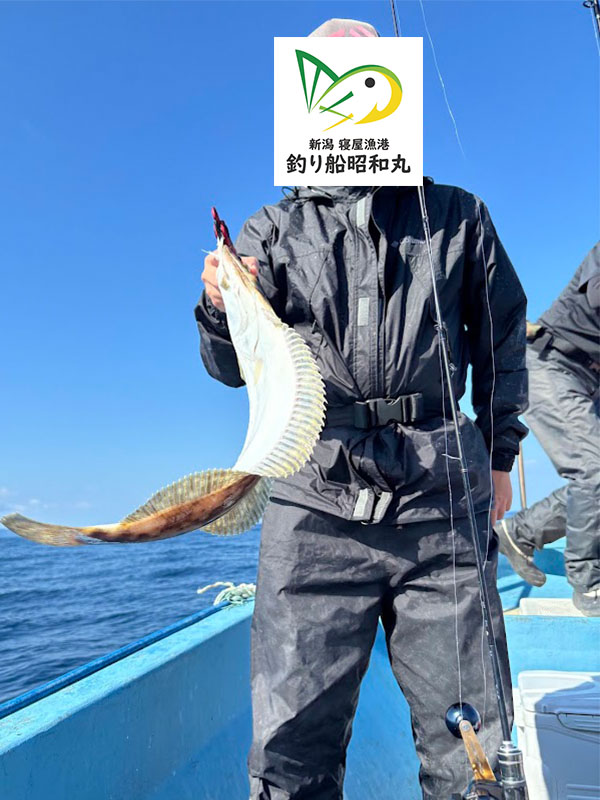 平目が釣れる