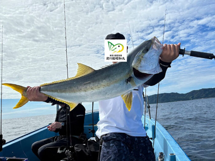 大型のヒラマサが粟島付近で釣れる