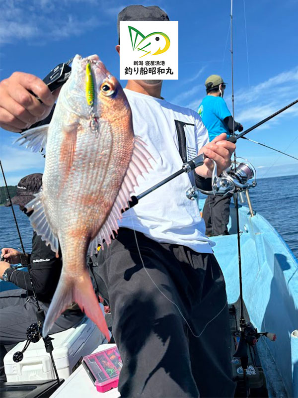 真鯛が良く釣れる