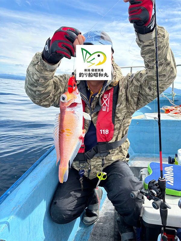 タイラバアマダイ釣果