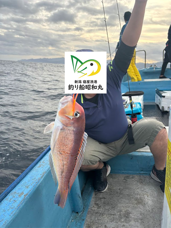 朝一の一投目で大甘鯛が釣れた