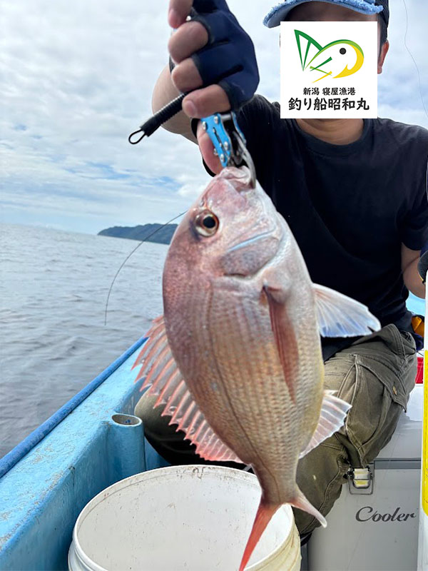 真鯛の釣果がでた釣り初心者