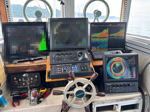 魚群探知機にたくさんの魚の反応