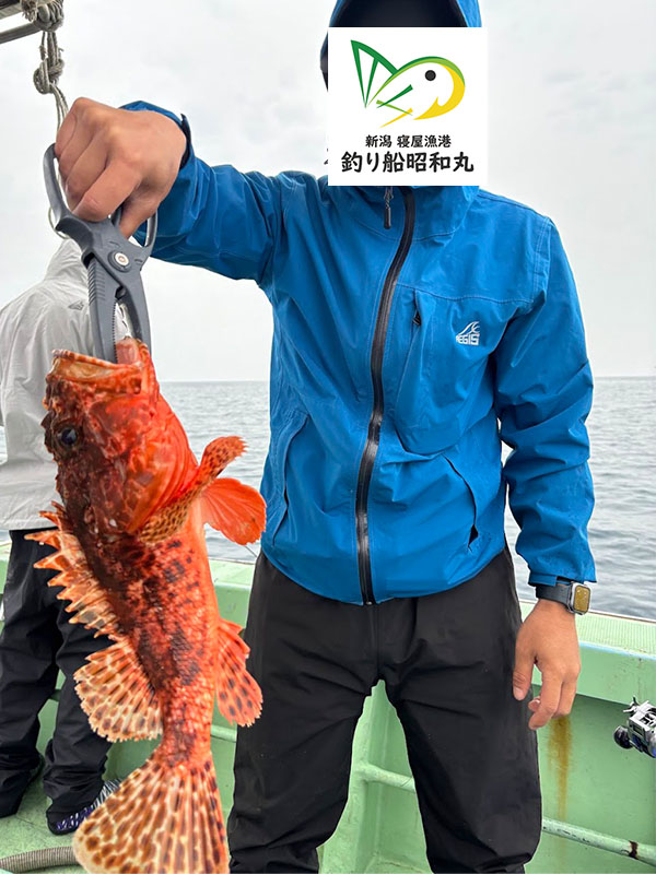 タイラバでオニカサゴの釣果