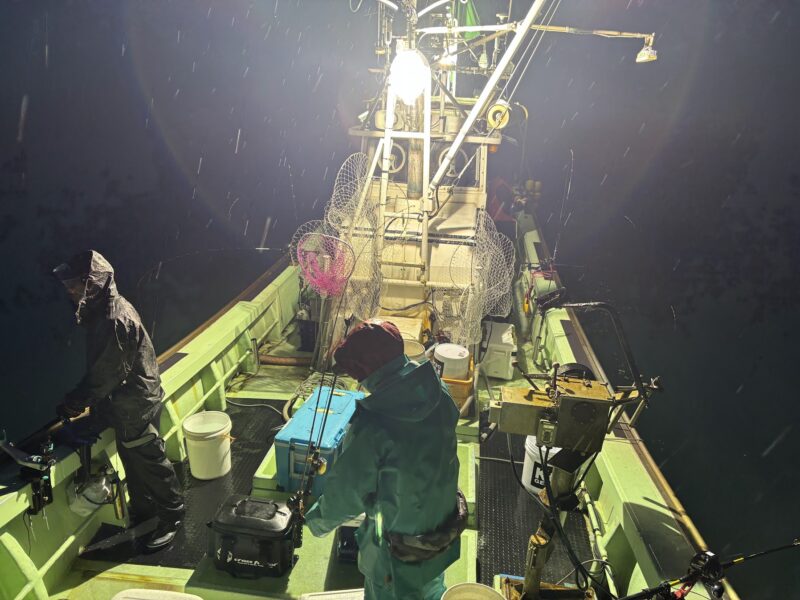 夜焚き新潟釣り船