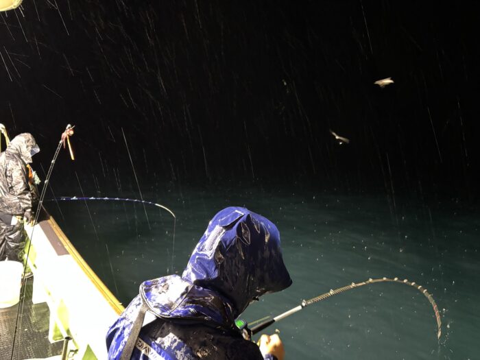 雨の中夜焚き釣りを楽しむ釣り人