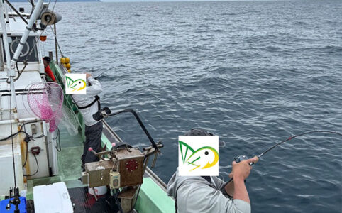 釣り船で魚が入れ食い