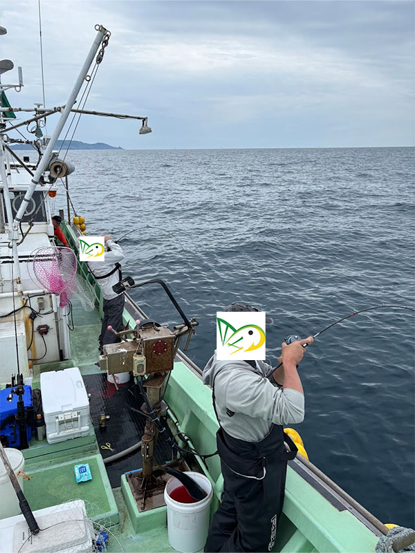 釣り船で魚が入れ食い