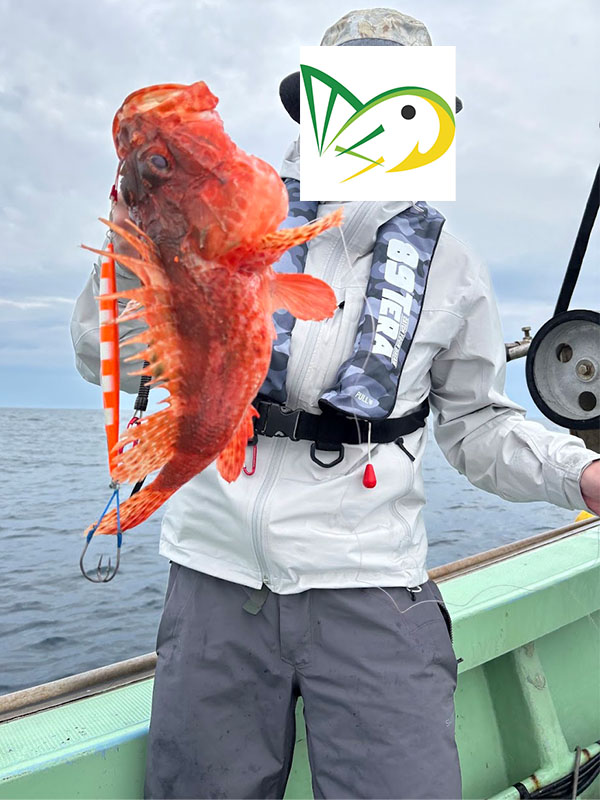 大型のオニカサゴが釣れた