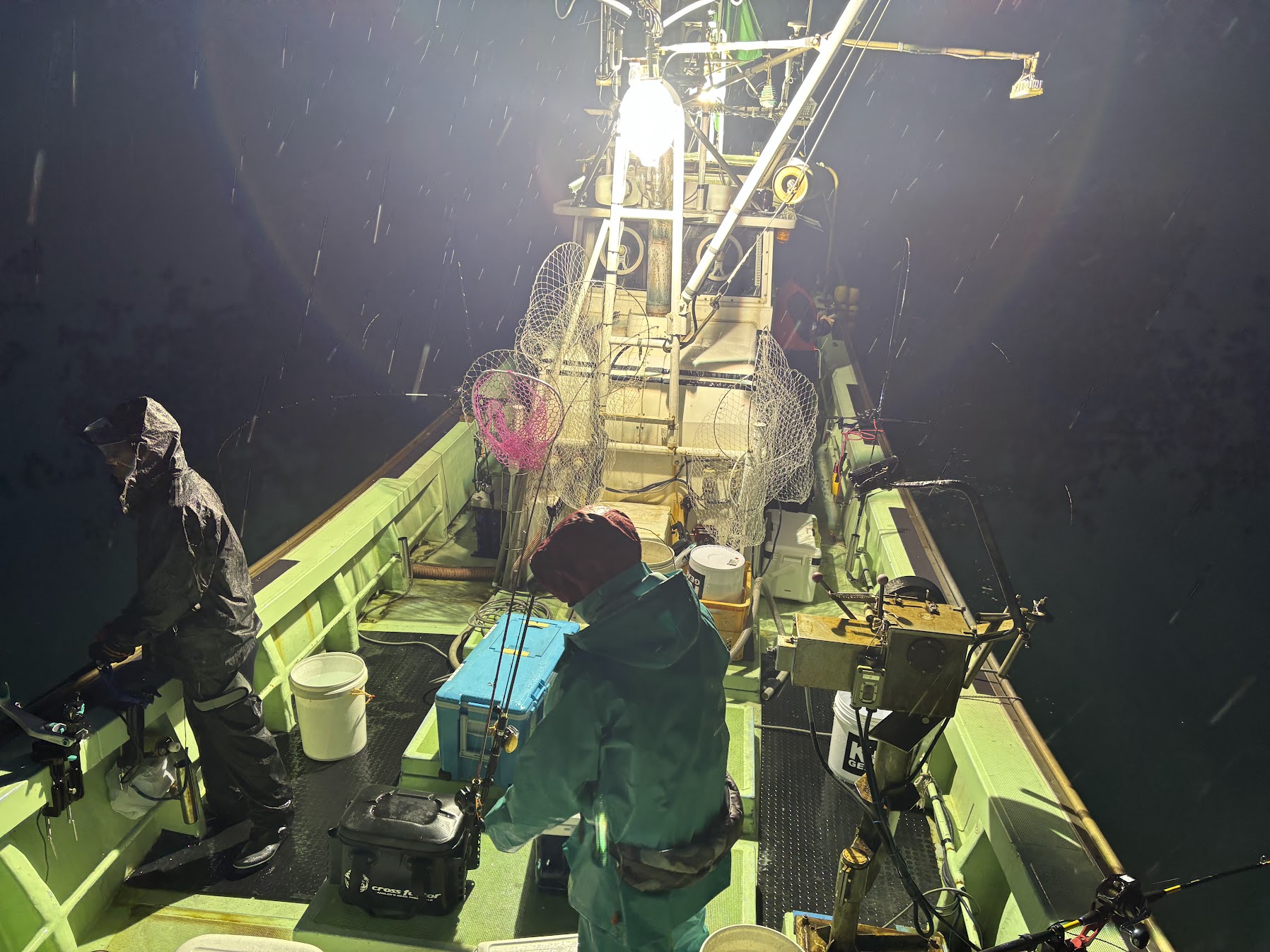 夜炊きナイトバチコンイカメタル