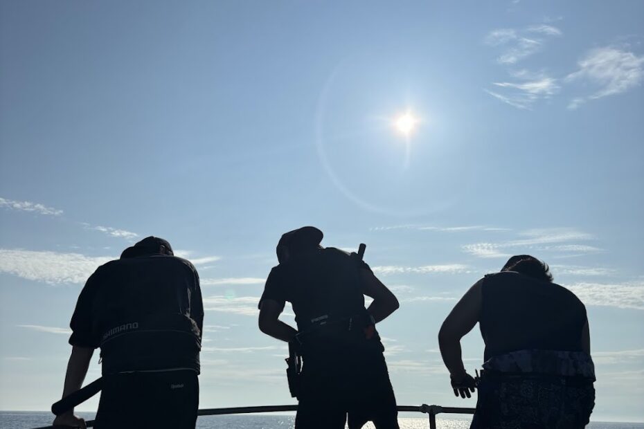 クロマグロジギング